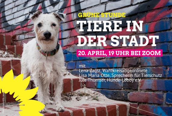 GRÜNE STUNDE: Tiere in der Stadt