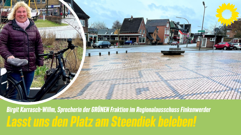 Lasst uns den Platz am Steendiek einladenener und ökologischer gestalten!